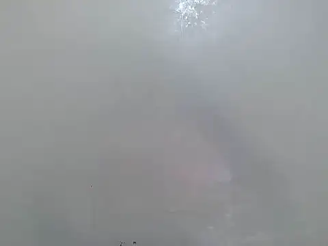 Rasta tattooed online show from 03-18-26, 06:11