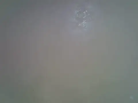 Rasta tattooed online show from 04-26-26, 03:21