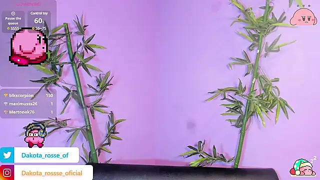 Snapshot of DakotaRosee chatting on 02-17-25, 05:25 DakotaRosee online show from 02-17-25, 05:25