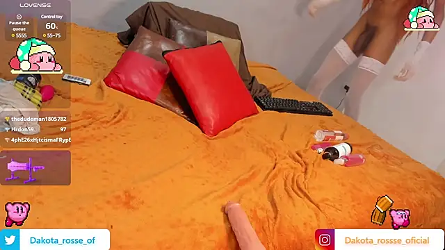 Snapshot of DakotaRosee chatting on 02-21-25, 09:13 DakotaRosee online show from 02-21-25, 09:13