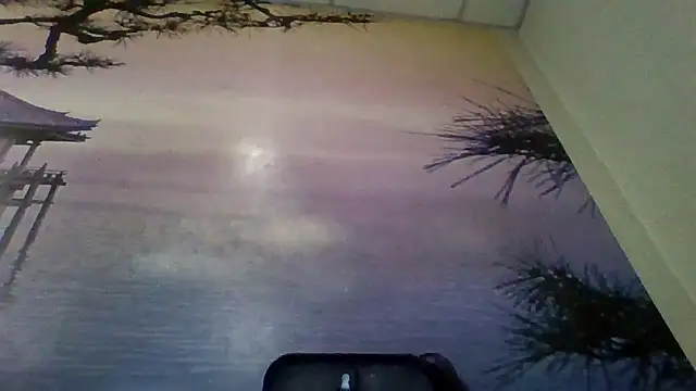 AliceTailor online show from 02-02-26, 07:56