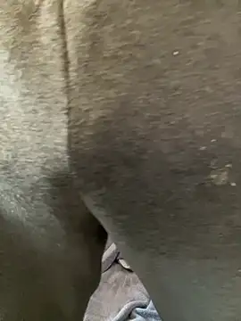 Enos3 online show from 04-16-26, 11:55