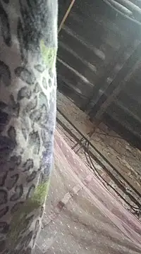 HotSexyBoudi online show from 12-21-24, 09:01