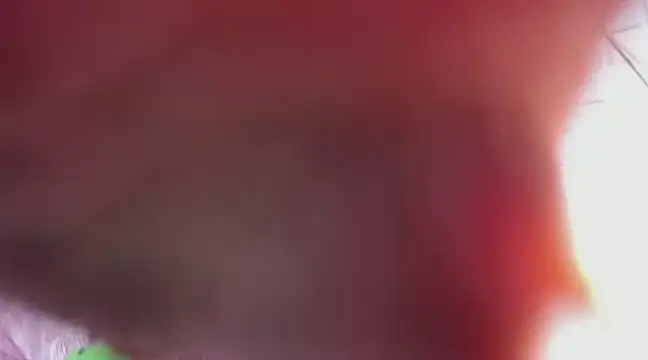 Kimmymadison- online show from 03-09-25, 06:39