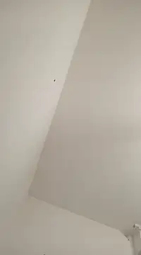 Anitabambola online show from 03-05-25, 11:27