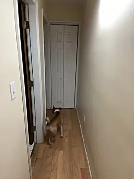 Snapshot of DaddySnowXX chatting on 12-16-24, 11:33 DaddySnowXX online show from 12-16-24, 11:33