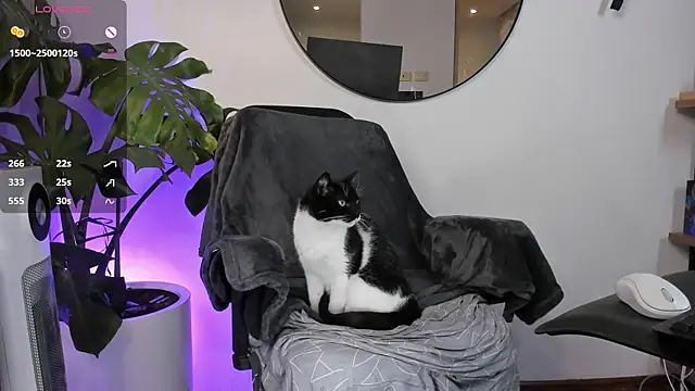 Snapshot of ariana_fitl_ chatting on 01-28-25, 03:47 ariana fitl online show from 01-28-25, 03:47