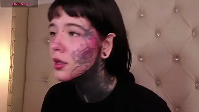 SylveonFox online show from 12-15-24, 08:52