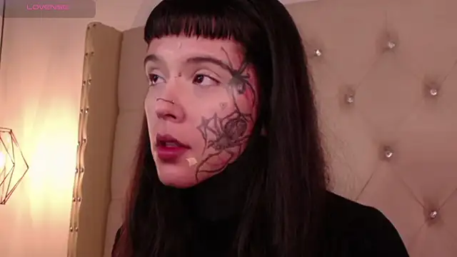 SylveonFox online show from 12-22-24, 08:27