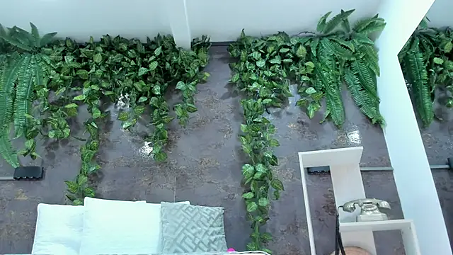 emily hunter12 online show from 05-18-26, 01:50