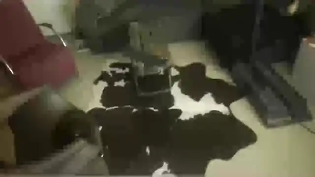 Snapshot of oopsxx chatting on 12-22-25, 01:57 oopsxx online show from 12-22-25, 01:57