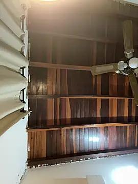 tom thick online show from 03-11-25, 02:32