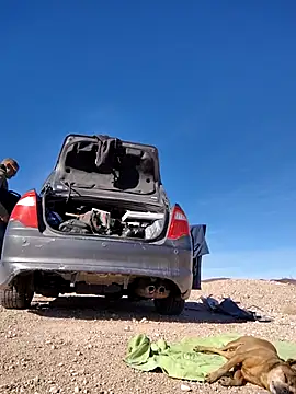 Snapshot of FloppyPickle4u chatting on 02-15-25, 09:37 FloppyPickle4u online show from 02-15-25, 09:37