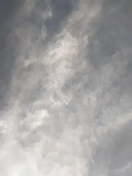 Snapshot of FloppyPickle4u chatting on 02-17-25, 11:42 FloppyPickle4u online show from 02-17-25, 11:42