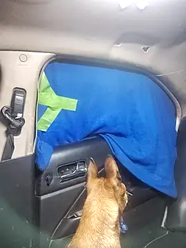 Snapshot of FloppyPickle4u chatting on 02-18-25, 05:31 FloppyPickle4u online show from 02-18-25, 05:31