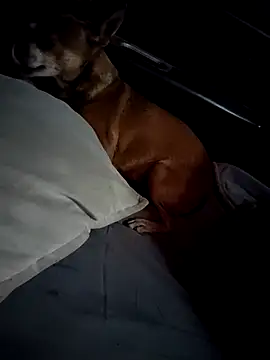 Snapshot of FloppyPickle4u chatting on 02-28-25, 04:31 FloppyPickle4u online show from 02-28-25, 04:31