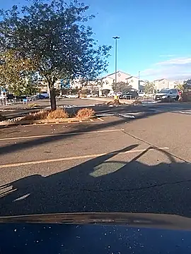 Snapshot of FloppyPickle4u chatting on 09-09-25, 03:11 FloppyPickle4u online show from 09-09-25, 03:11