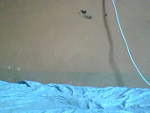 Naivegirrl online show from 02-08-26, 09:45