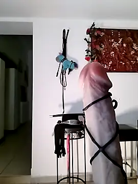 Snapshot of freyamoret chatting on 02-27-25, 05:34 freyamoret online show from 02-27-25, 05:34