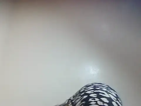 Creamy candy17 online show from 10-03-25, 01:41