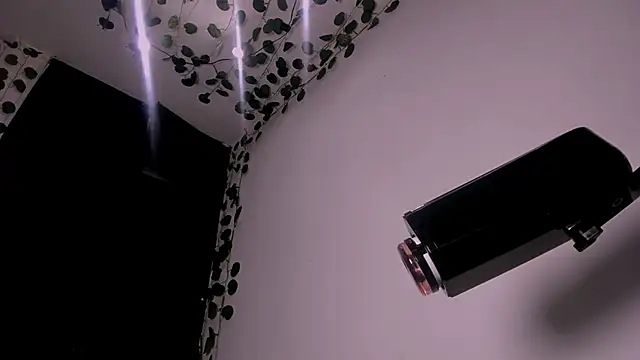 Young laroi online show from 02-19-25, 08:12