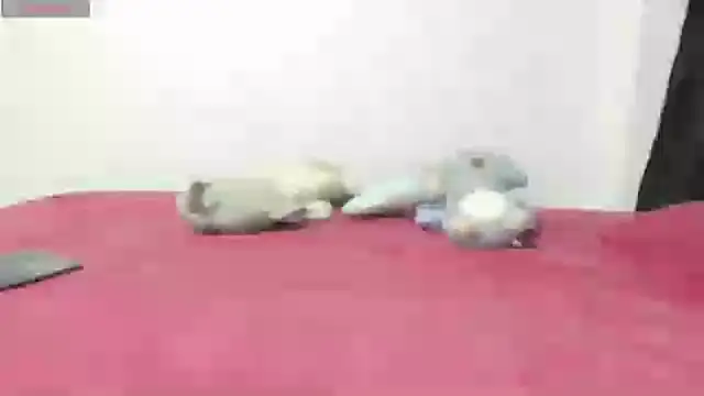 Snapshot of Mayte_sexy chatting on 02-21-25, 12:16 Mayte sexy online show from 02-21-25, 12:16