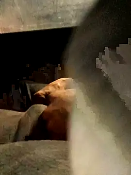 xWhoreAbleX Pika online show from 03-06-25, 12:43