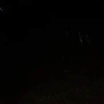 Gifttheskimaskboy online show from 02-12-26, 01:22