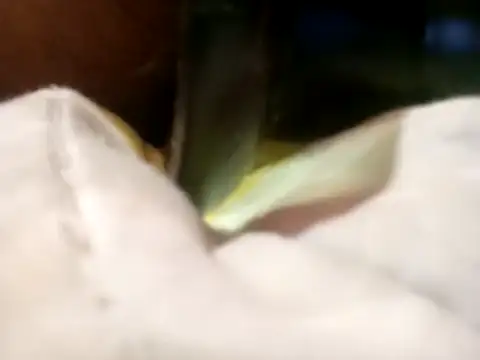 Pcsammy73 online show from 11-26-25, 10:05