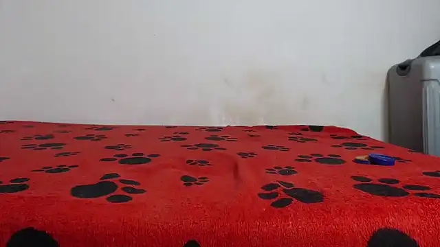 Snapshot of Amazing12inch chatting on 02-12-25, 07:55 Amazing12inch online show from 02-12-25, 07:55