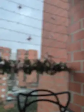 ValerieHilton online show from 12-27-24, 10:59