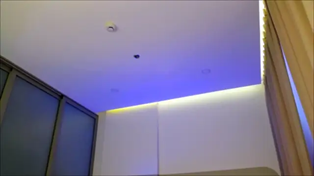 wow Mia online show from 12-24-24, 04:55