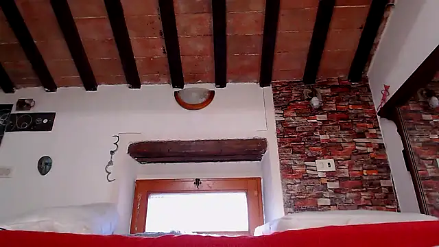 cek 186 online show from 04-06-26, 06:58