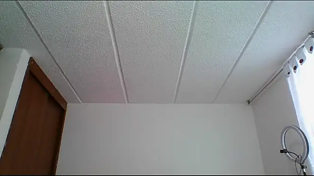 Snapshot of RossanaLionheart chatting on 12-14-24, 07:03 RossanaLionheart online show from 12-14-24, 07:03