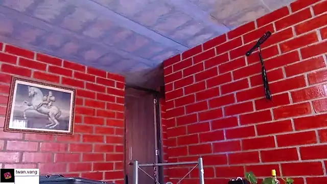 Trix fiore oficial online show from 03-11-26, 09:10