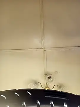 Snapshot of ___Midnight___ chatting on 03-15-26, 02:06 Midnight online show from 03-15-26, 02:06