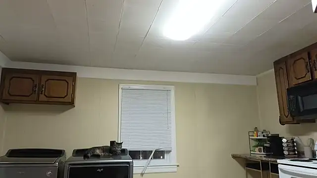 Snapshot of sexylilly69 chatting on 10-13-25, 02:00 sexylilly69 online show from 10-13-25, 02:00