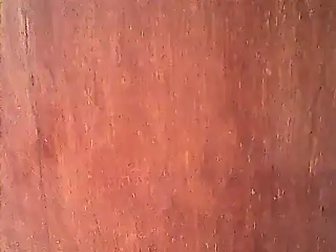 Snapshot of Dirtychubby29 chatting on 01-14-25, 04:25 Dirtychubby29 online show from 01-14-25, 04:25