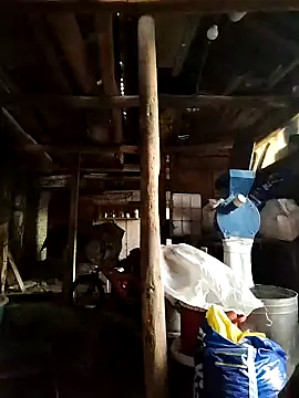 Snapshot of Sarpe84 chatting on 01-19-25, 05:48 Sarpe84 online show from 01-19-25, 05:48