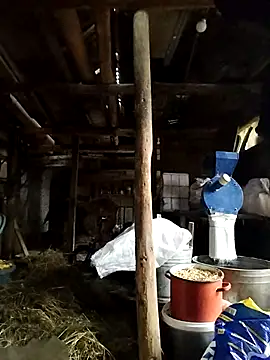 Snapshot of Sarpe84 chatting on 01-24-25, 06:03 Sarpe84 online show from 01-24-25, 06:03