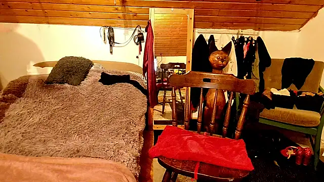 Snapshot of Hot_Colettte chatting on 01-24-25, 01:24 Hot Colettte online show from 01-24-25, 01:24