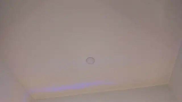 Mara Betancurt online show from 02-11-25, 11:44