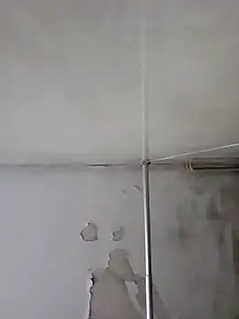 Snapshot of gordito_xx chatting on 01-18-25, 06:03 gordito xx online show from 01-18-25, 06:03