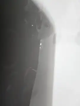 Snapshot of gordito_xx chatting on 02-22-25, 03:47 gordito xx online show from 02-22-25, 03:47