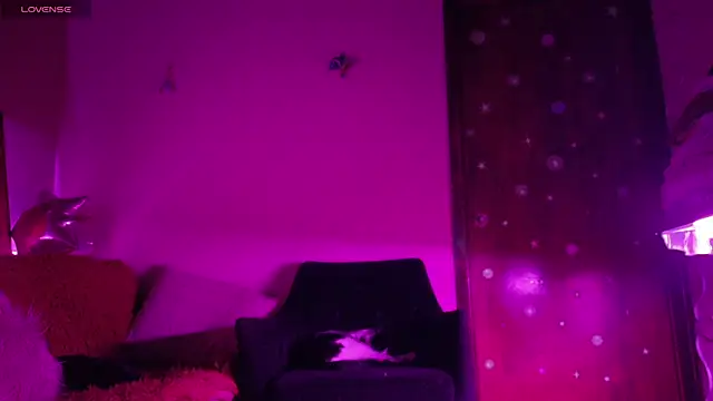 maryberry   online show from 04-18-26, 04:38