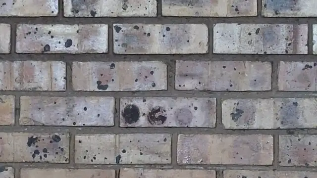 Astoria Moon online show from 02-10-25, 01:01