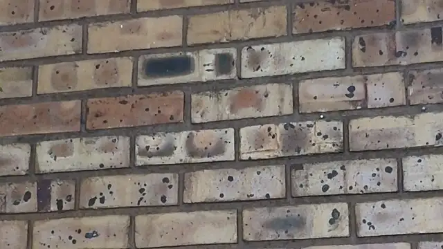 Astoria Moon online show from 02-24-25, 07:09