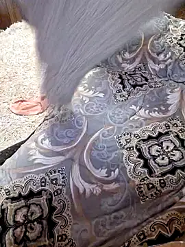  Kitti  online show from 01-22-25, 08:49