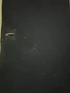 Black-mamba-madingo online show from 10-09-25, 12:25