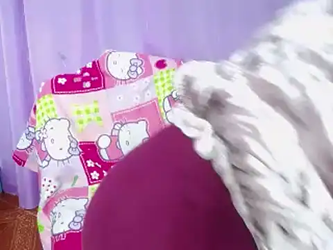 Snapshot of ameliefederline11 chatting on 01-13-25, 01:06 ameliefederline11 online show from 01-13-25, 01:06